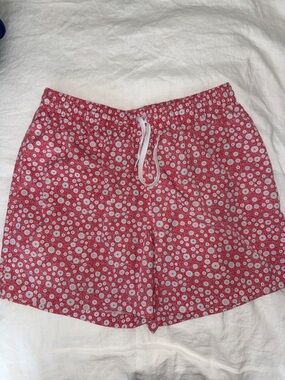 chubbies Swim Trunks